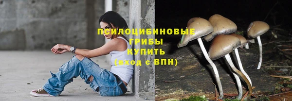 дживик Киренск