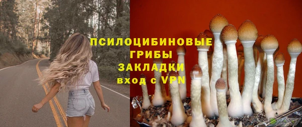 дживик Киренск