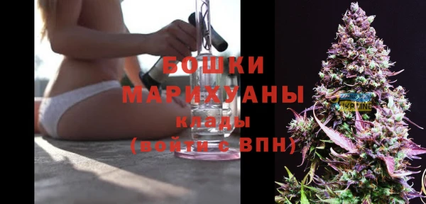 дживик Киренск